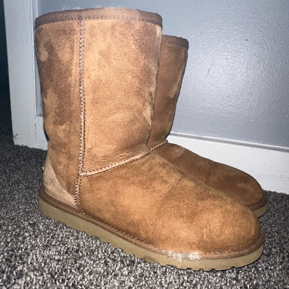 CLASSIC SHORT UGG (CHESTNUT) - Picture 3 of 8